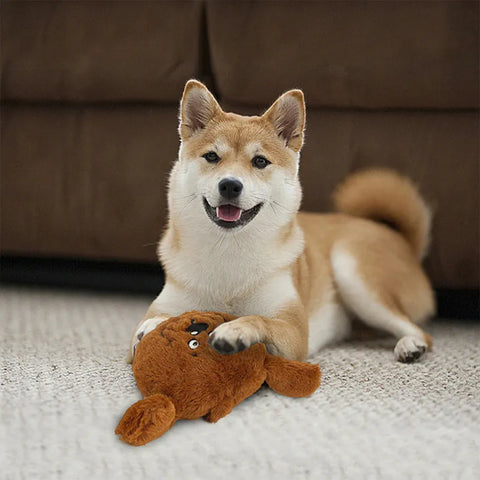 Interactive Giggle Ball Monster Dog Toy™️