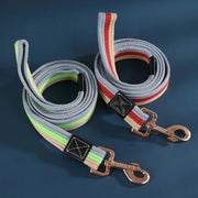 Non-Slip Rubber Nylon Dog Leash™️