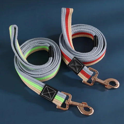 Non-Slip Rubber Nylon Dog Leash™️