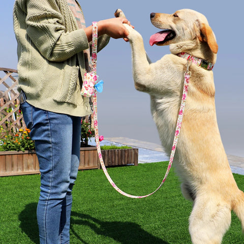 Personalized Printed Dog Collar Leash Poop Bag Set™️