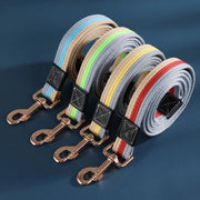 Non-Slip Rubber Nylon Dog Leash™️