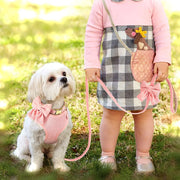 Adorable Dog Harness Collar Leash Set™️