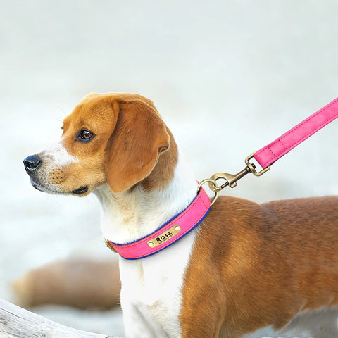 Personalized Nameplate Leather Dog Collar™️