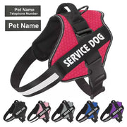 Personalized No Pull Reflective Harness™️