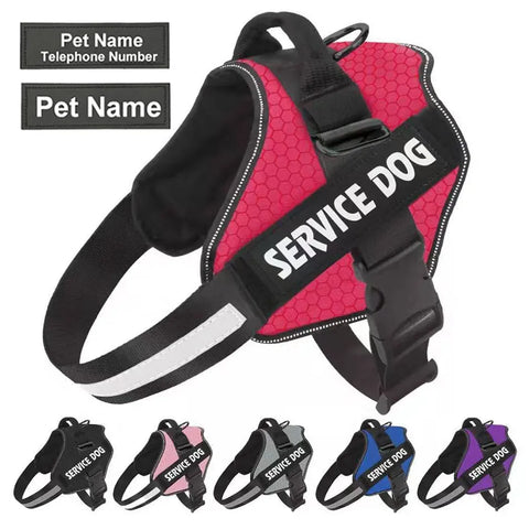 Personalized No Pull Reflective Harness™️