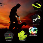 LED Light Up Dog Leash - Safety and Style Combined™️