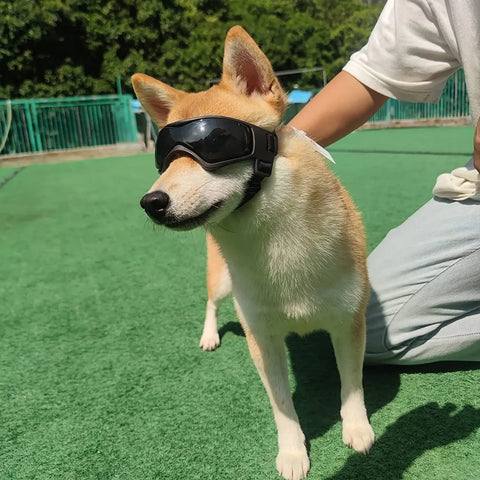 UV Protection Outdoor Sunglass Goggles for Dogs™️