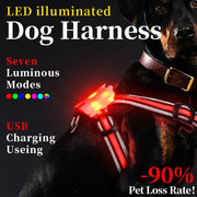 LED Light-Up Dog Harness™️