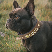 Personalized Charm Collar™️