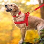 Customizable Mesh Dog Collar Harness Leash Set™️