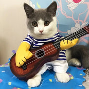 Guitar Costume™️