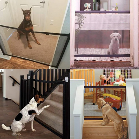 Magic Dog Gate™️