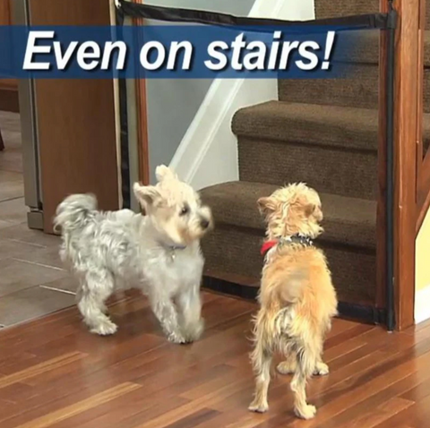Magic Dog Gate™️