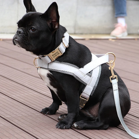Customizable Mesh Dog Collar Harness Leash Set™️